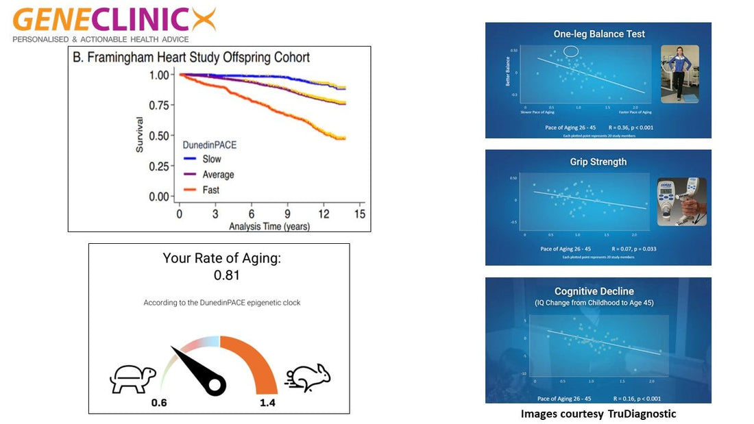 Post #12: Biological Age Testing