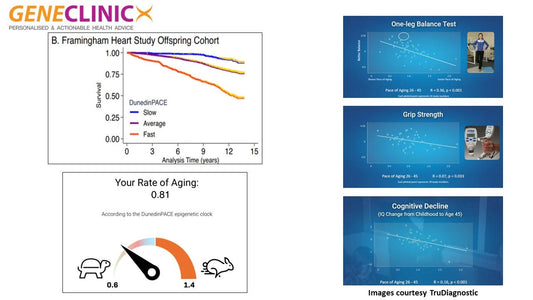 Post #12: Biological Age Testing