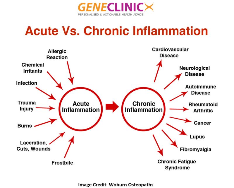 Post #6: The Role of Inflammation